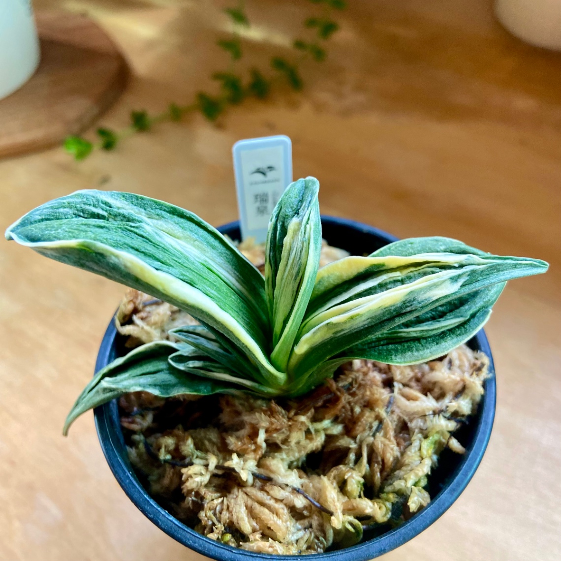 2025年9月 の画像