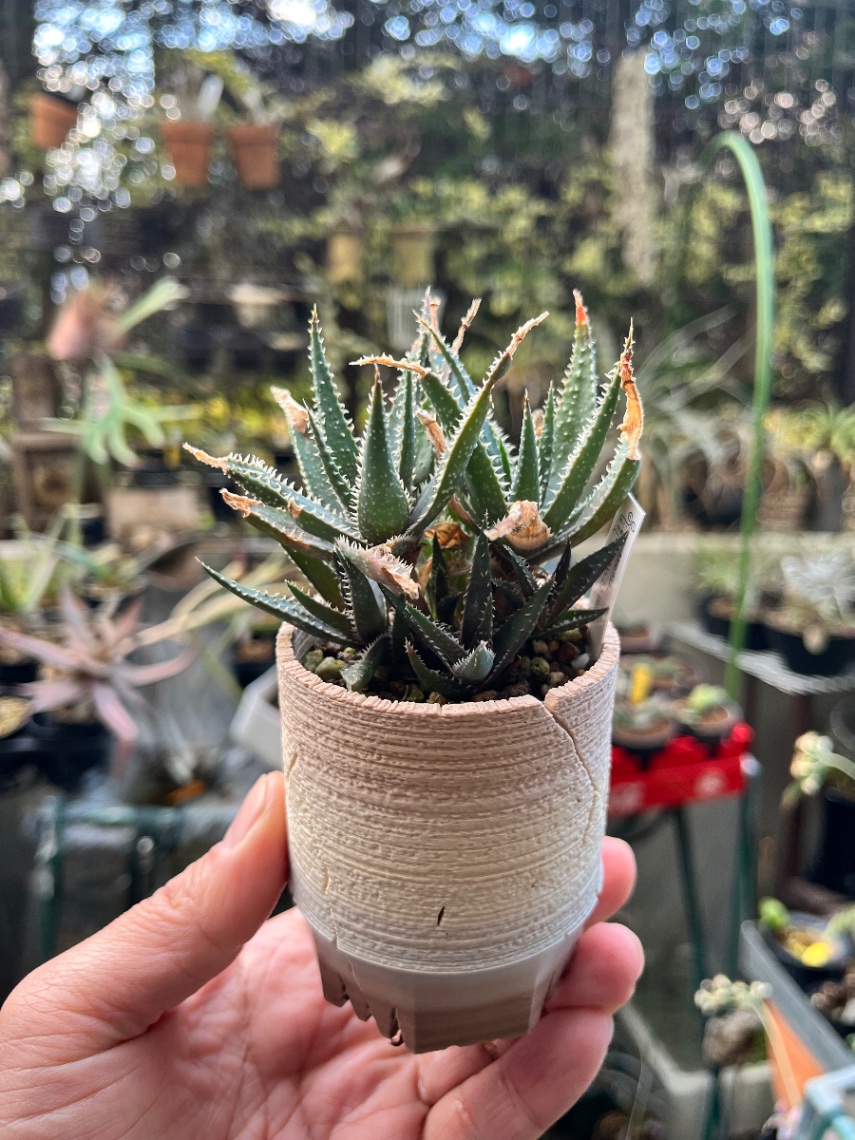 Aloe D.W. No.22 Black の画像