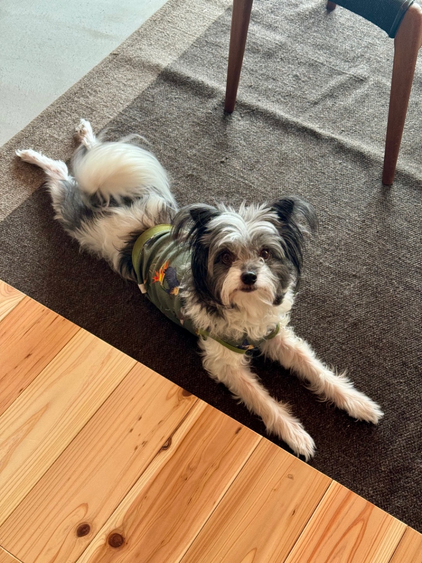 しめじろう の画像