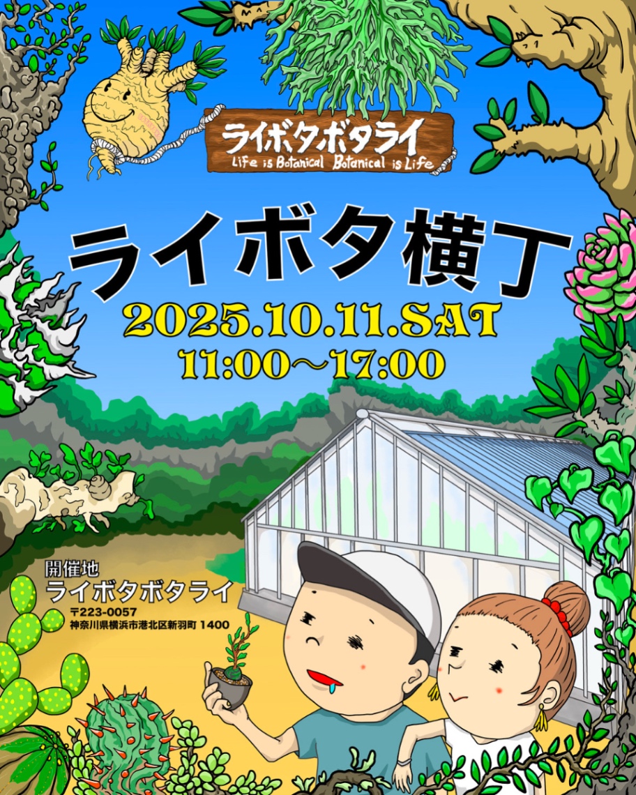 ライボタ横丁 | 2025年10月11日 新横浜    のヘッダー画像