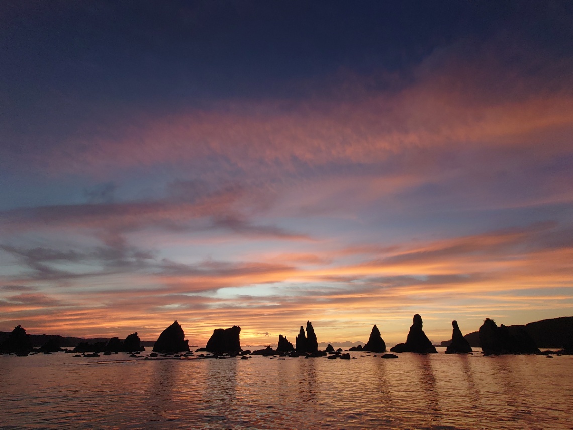 ハオルチア のヘッダー画像