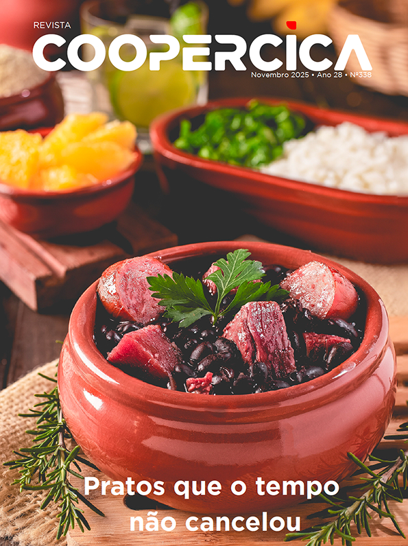 Revista Novembro 2025