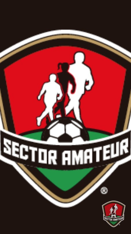 Liga de futbol el Arco  - 