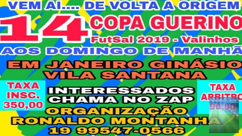 COPA PINHEIROS  - 