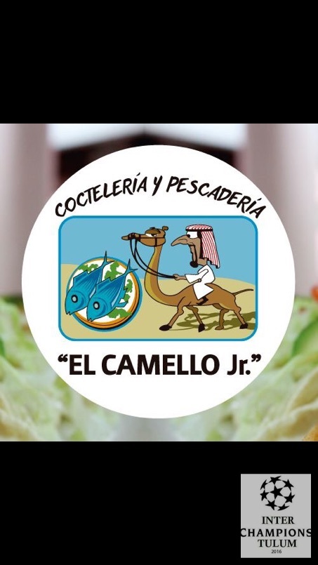 undefined - El Camello Jr