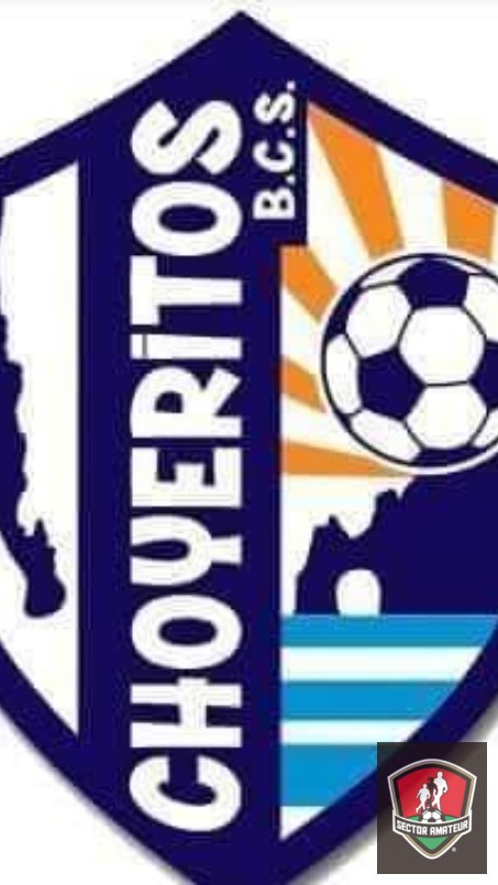 Liga de futbol el Arco  - 