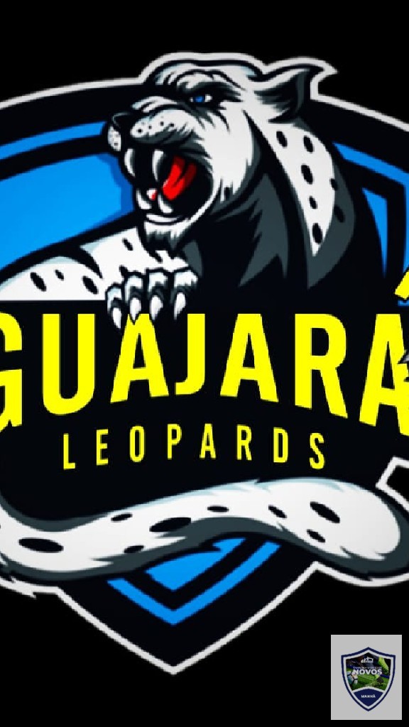 CAMPEONATO SINTETICO NOVOS  - Guajará