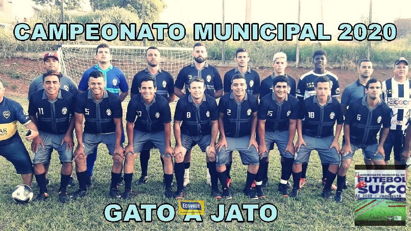 undefined - Gato a Jato