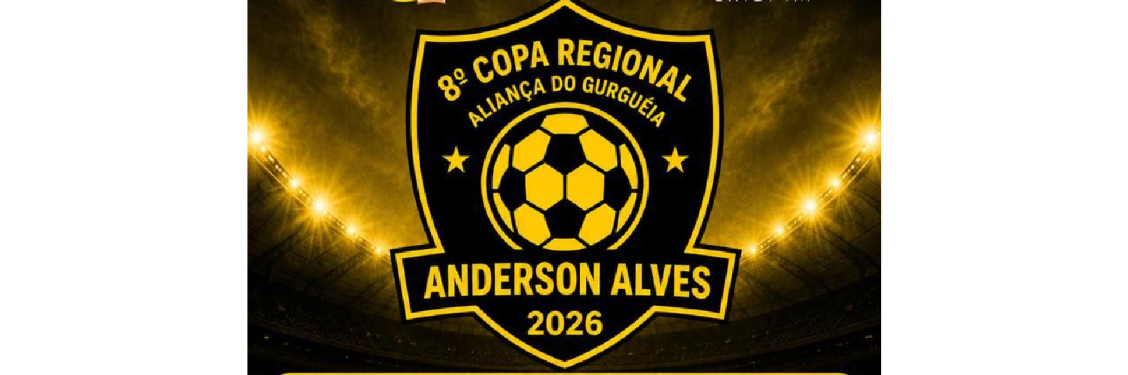 8° Copa Regional De Aliança Do Gurguéia Anderson Alves 