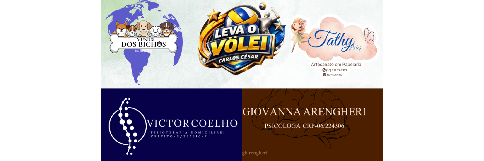 VÔLEI FOLIA PREMIUM