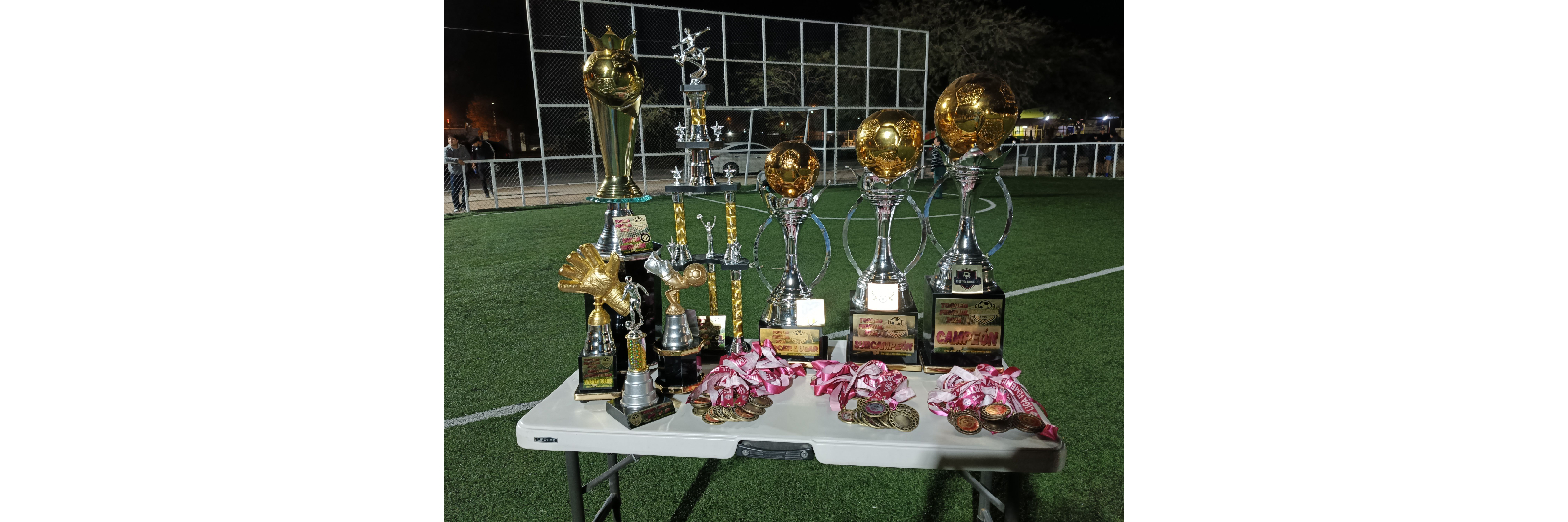 LIGA DEL NORTE S.L.R.C