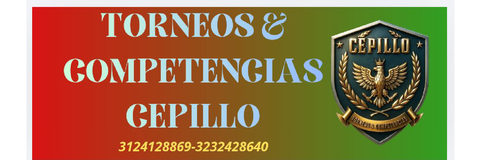 V TORNEO DE COMERCIANTES DE LA 13