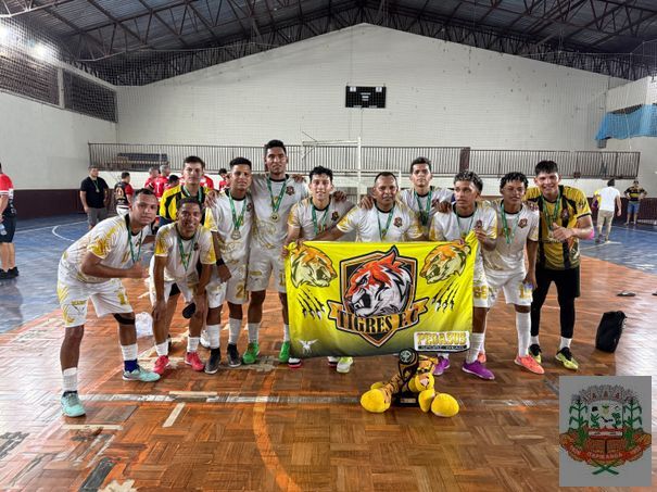 undefined - TIGRES - CAMPEÃO