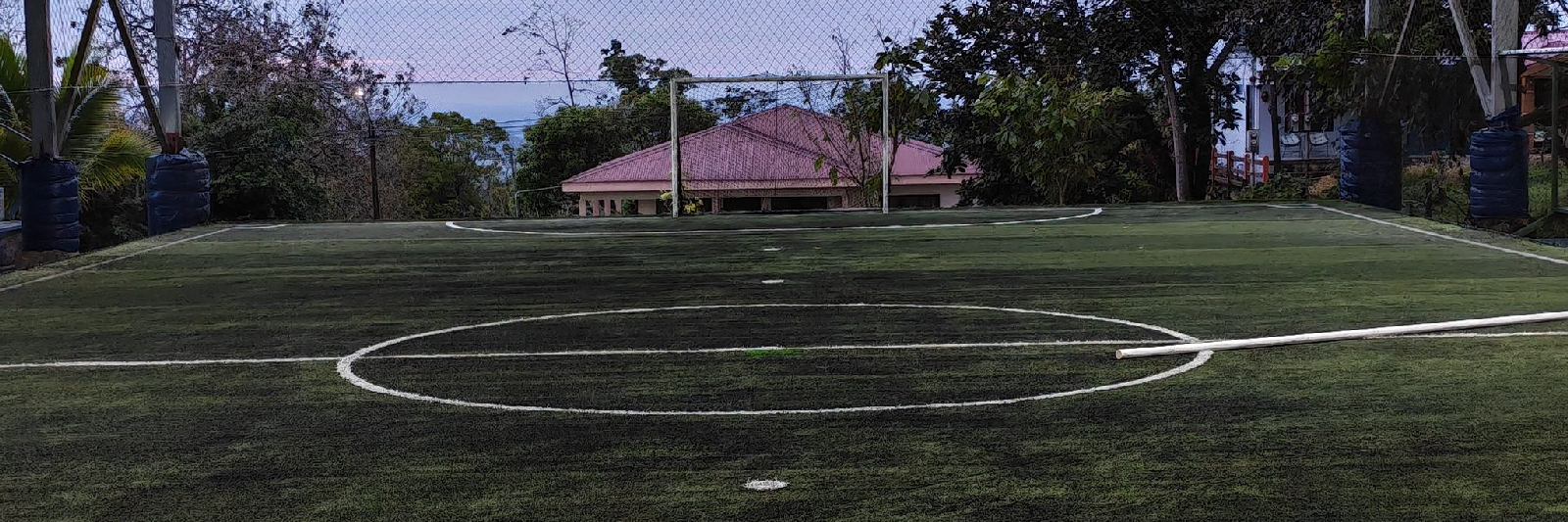 campeonato  pura vida 
