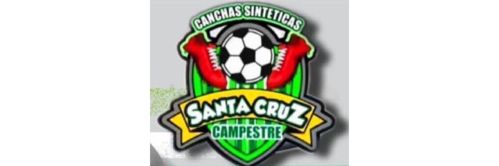 XX TORNEO MASCULINO 