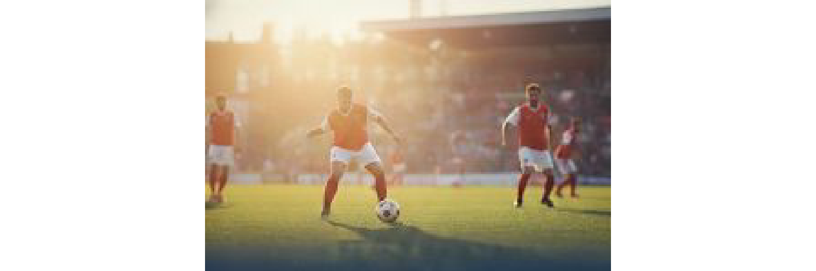 campeonato apertura +42