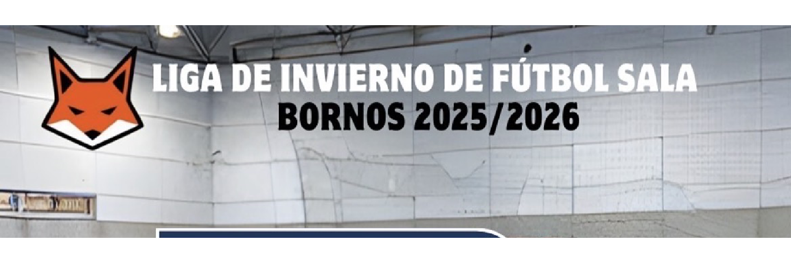 PLAYOFFS LIGA DE INVIERNO BORNOS 2026