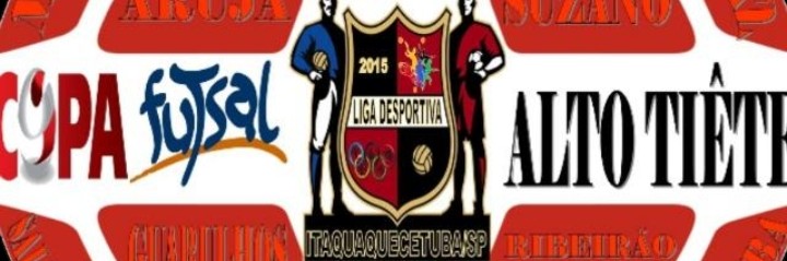 Liga Alto Tietê 