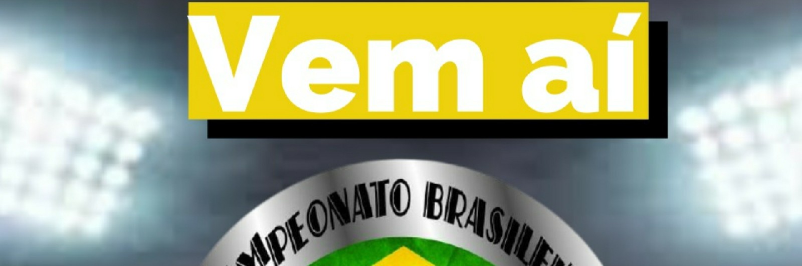 Campeonato Brasileiro  Fut-7 