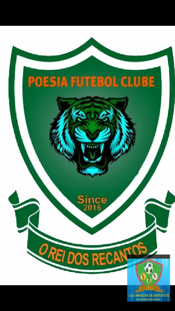 CAMPEONATO DOS  RECANTOS
2020
 - undefined