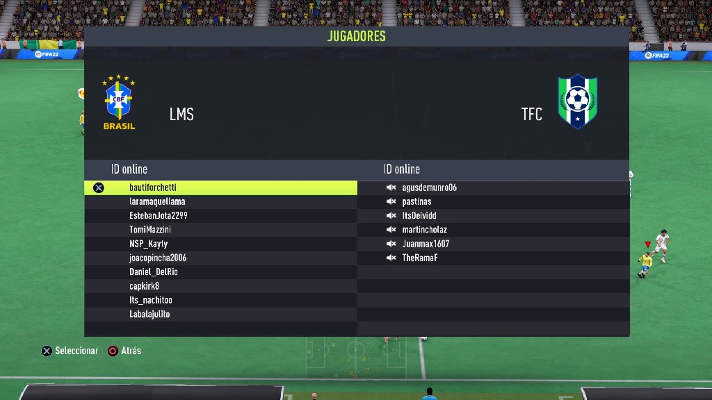 Liga Competitiva Amateur de Fifa - 