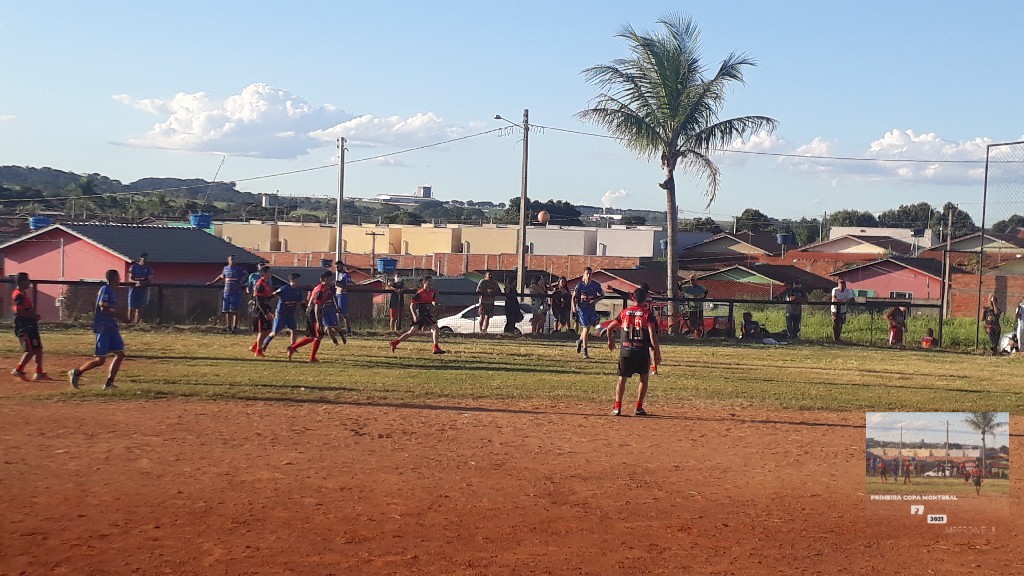 undefined - Essa palmeira trás uma visão única sobre esse campo!!!