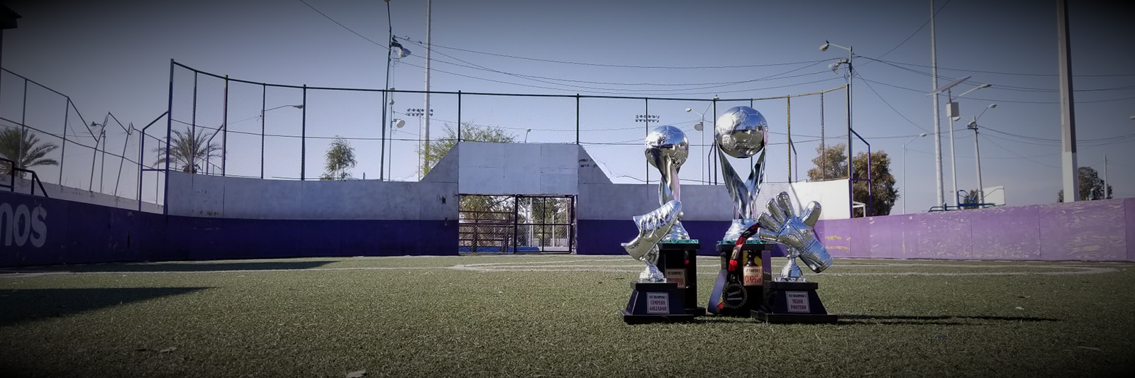 FAT CHAMPIONS 5