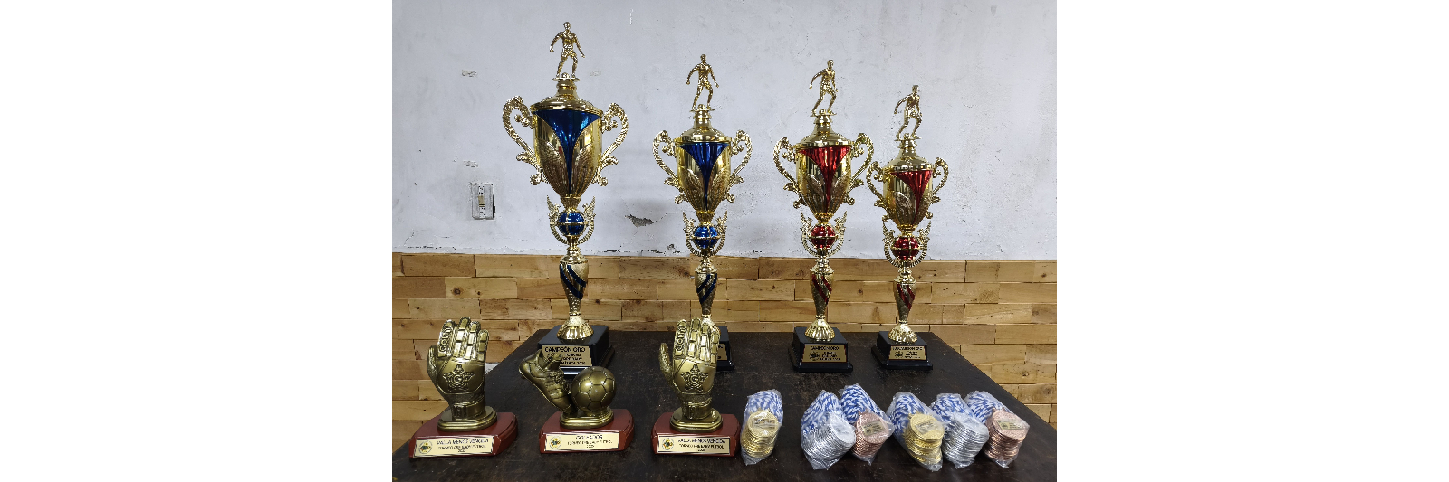 TORNEO PRE-BABY ESMERALDAS