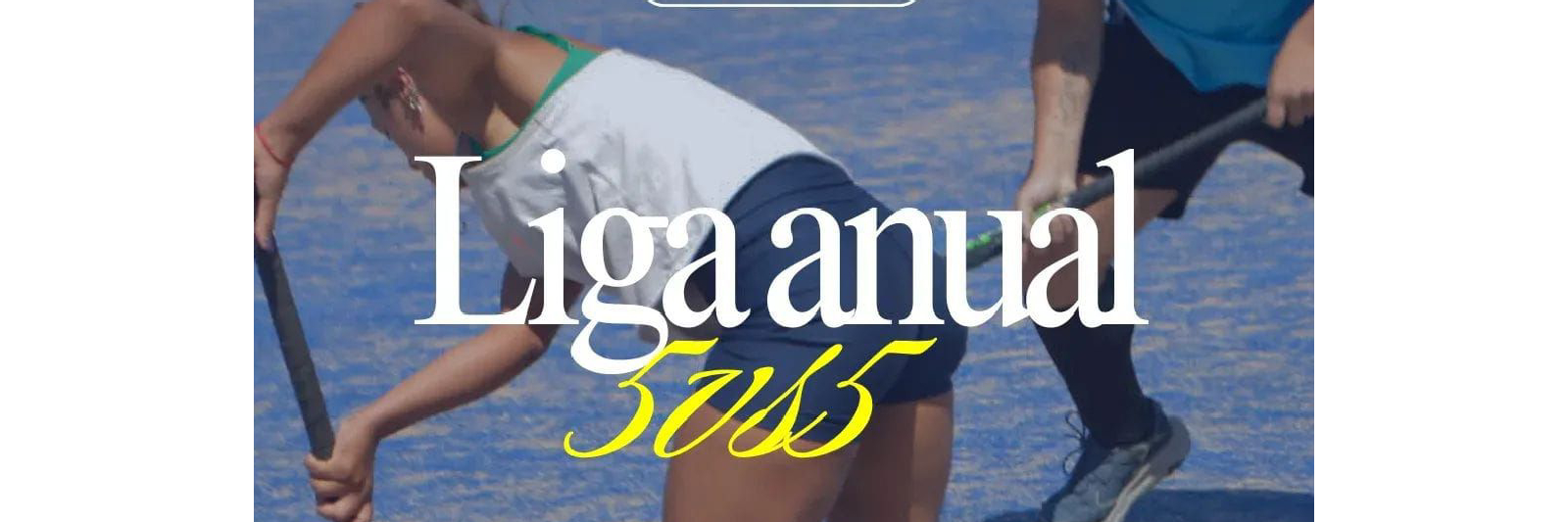 Liga Anual 5vs5 