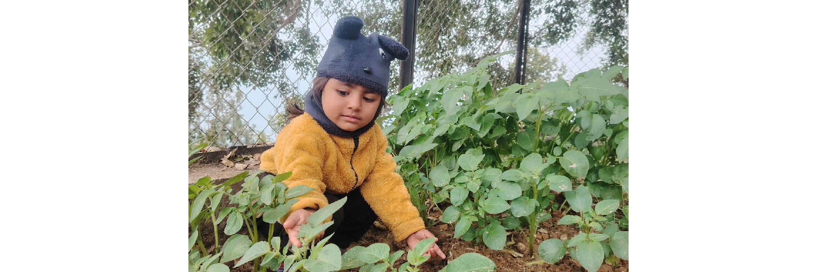 GOLMA DEVI MONTESSORY