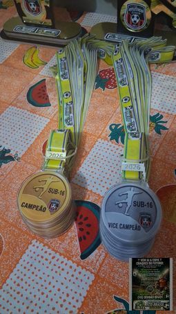 undefined - Medalhas de Campeão e Vice-campeão para os atletas