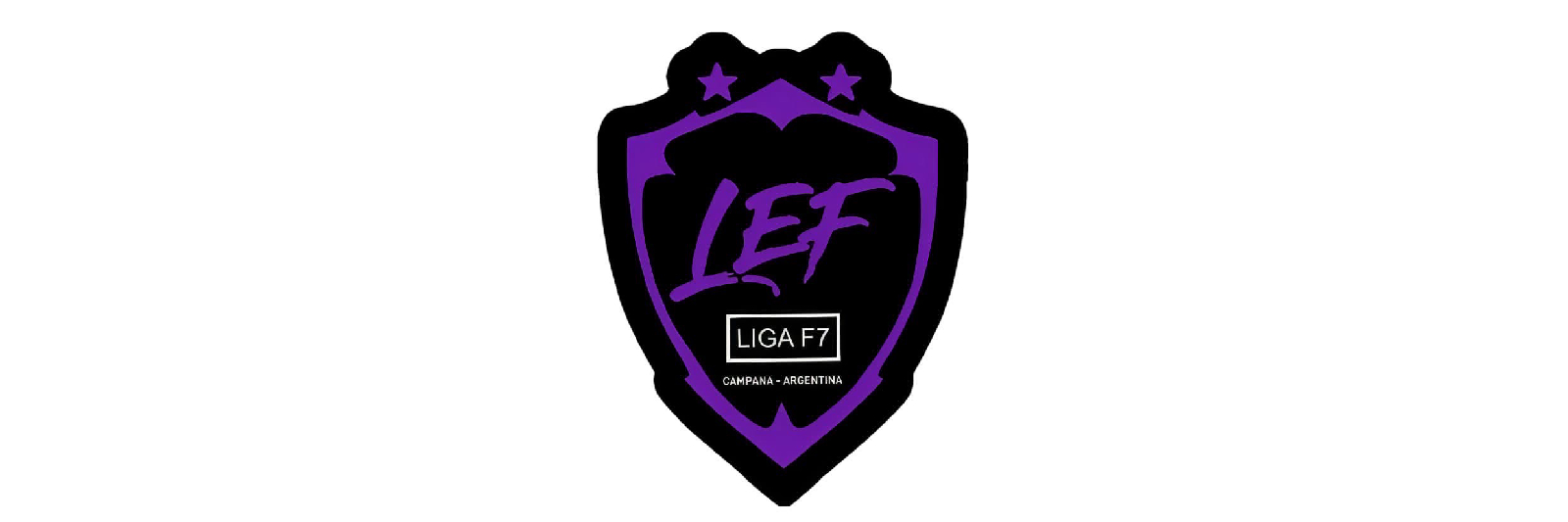 LIGA DE ESCUELAS DE FUTBOL