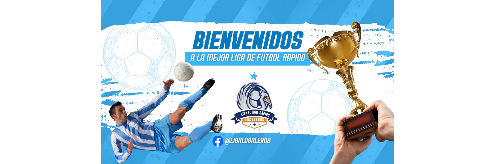 Liga de Fútbol Rápido Los Aleros 
