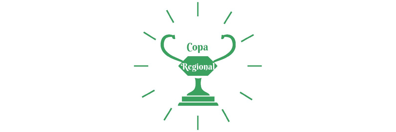 3ª Copa Regional 