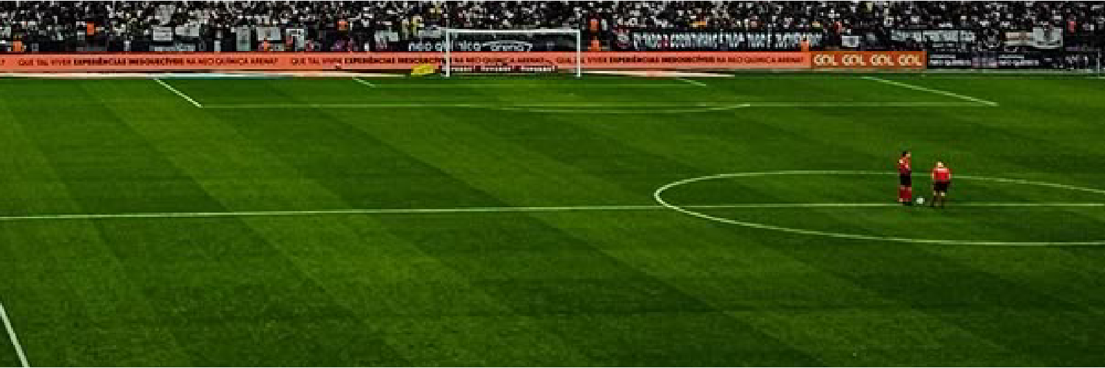 Fútbol Latino Gandia Senior
