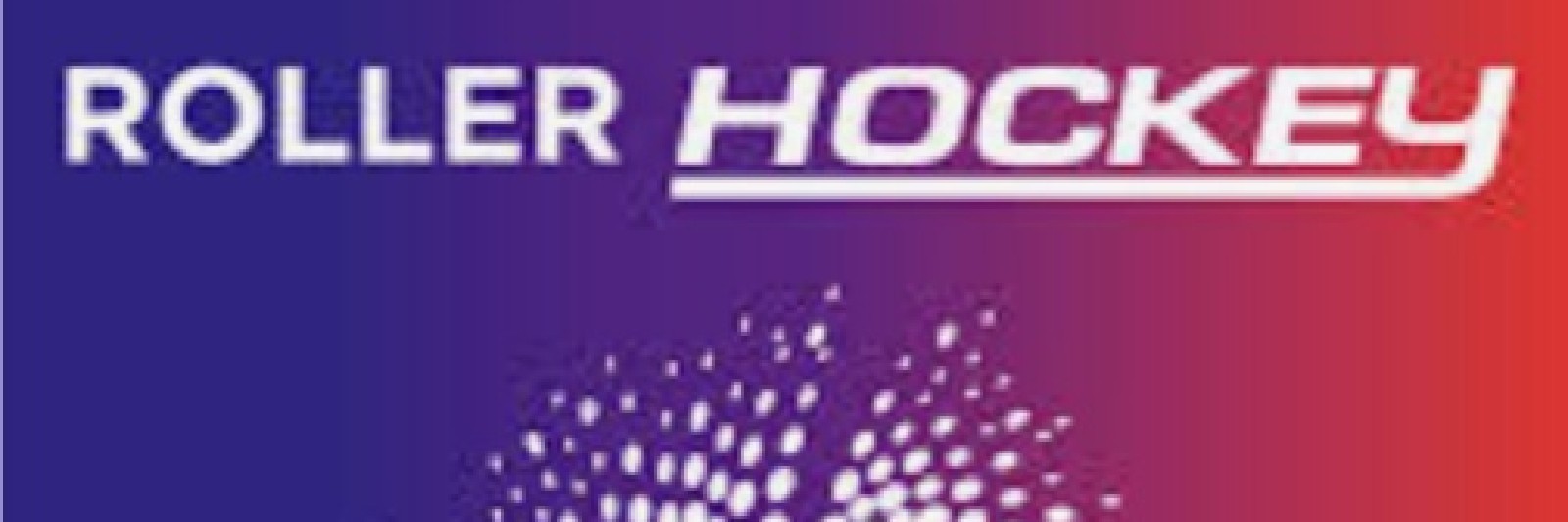 Finale France Roller Hockey U15