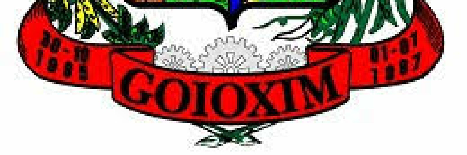 Campeonato Regional De Futebol Do Goioxim