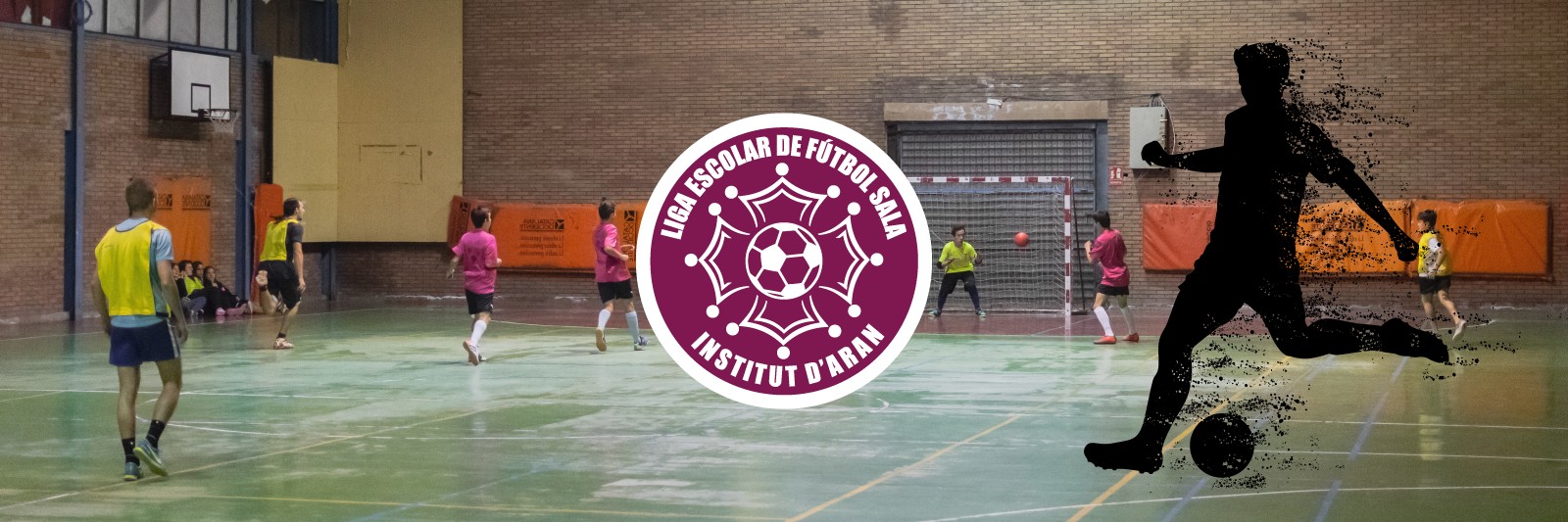 LIGA ESCOLAR DE FS INSTITUT D'ARAN