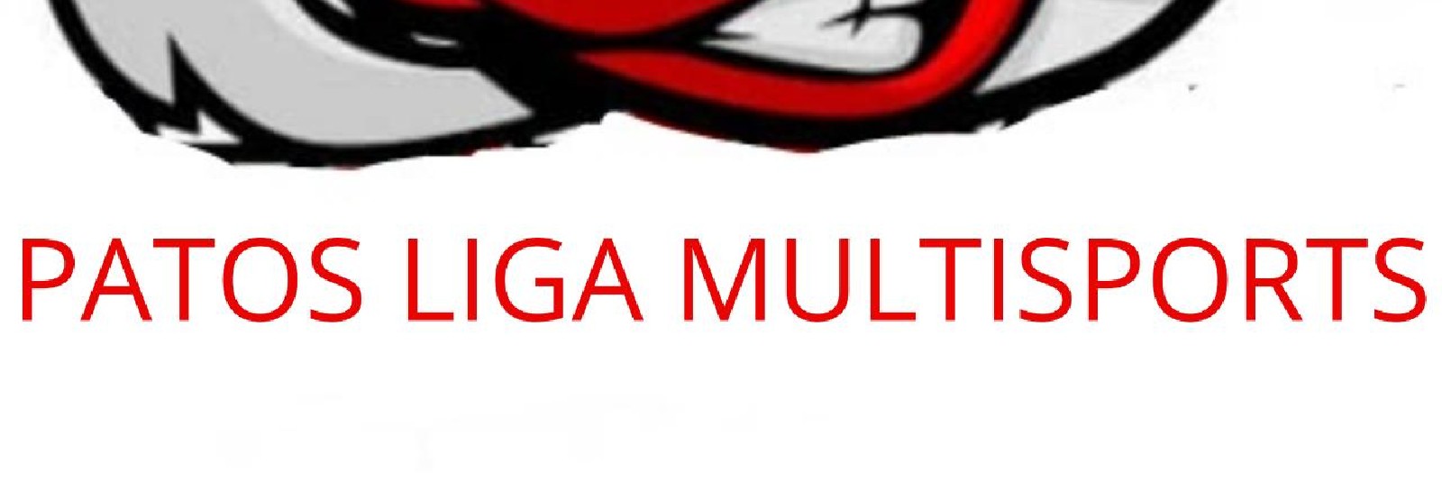 Pro Liga Futsal WA Uniformes