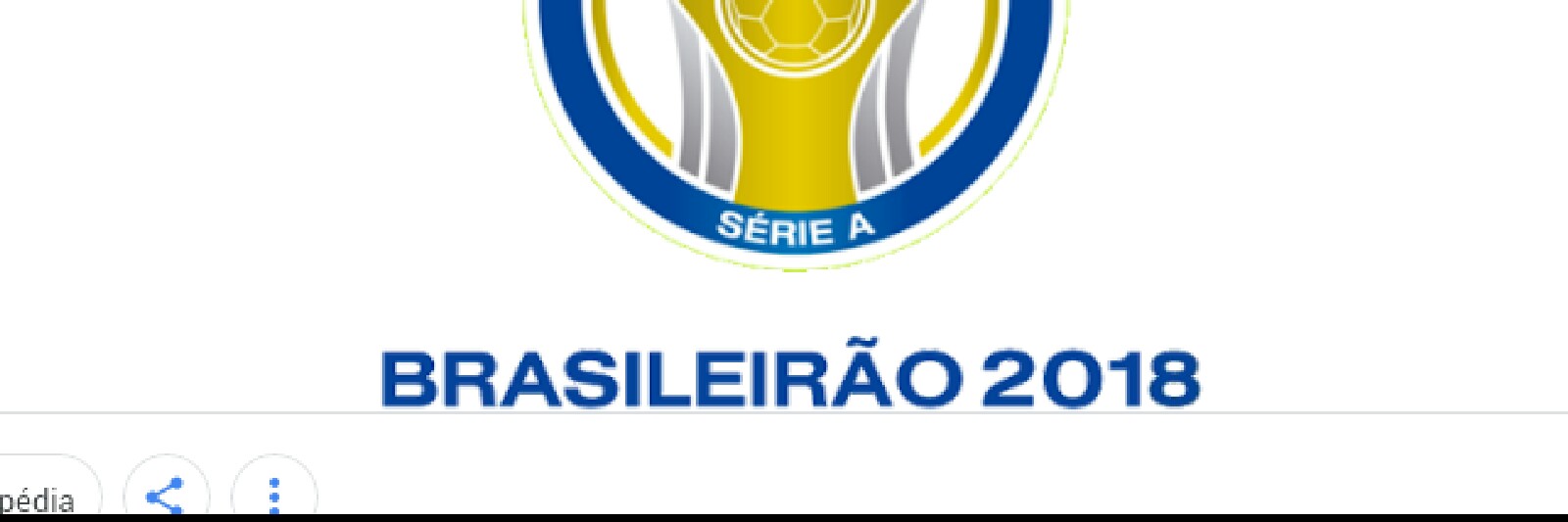 copaDoBrasil
