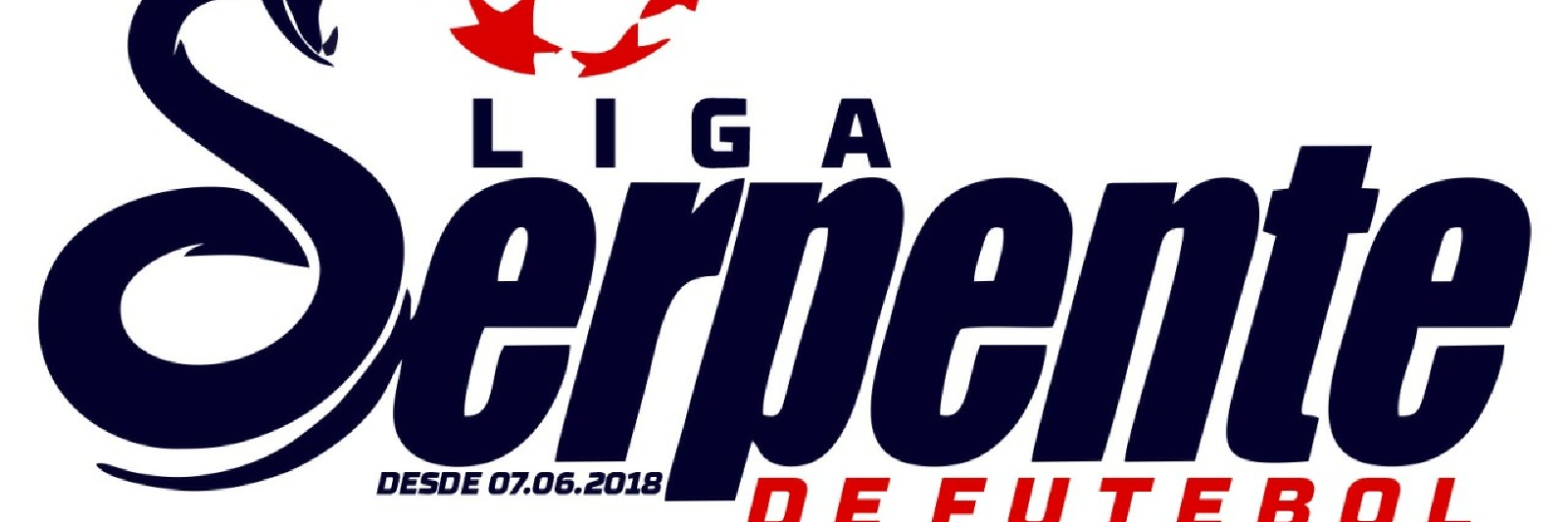 COPA AMIGOS DO GABRIEL