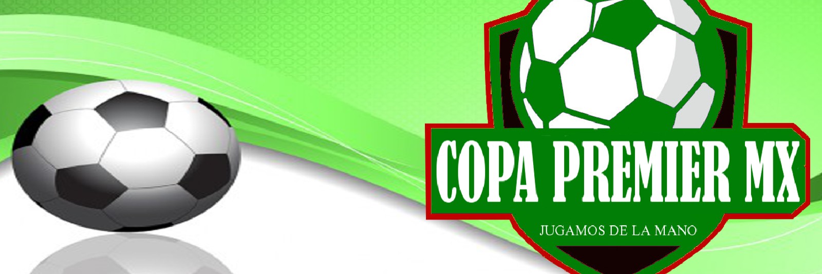 Copa Premier MX