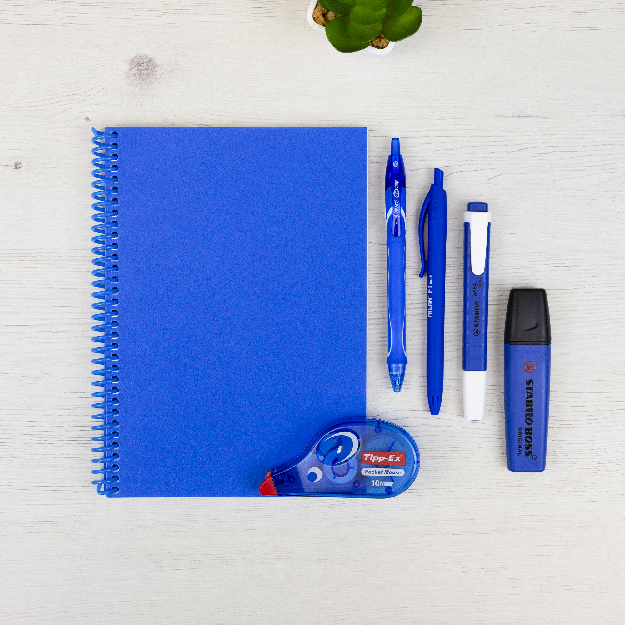 Pack Azul Cerúleo 👠