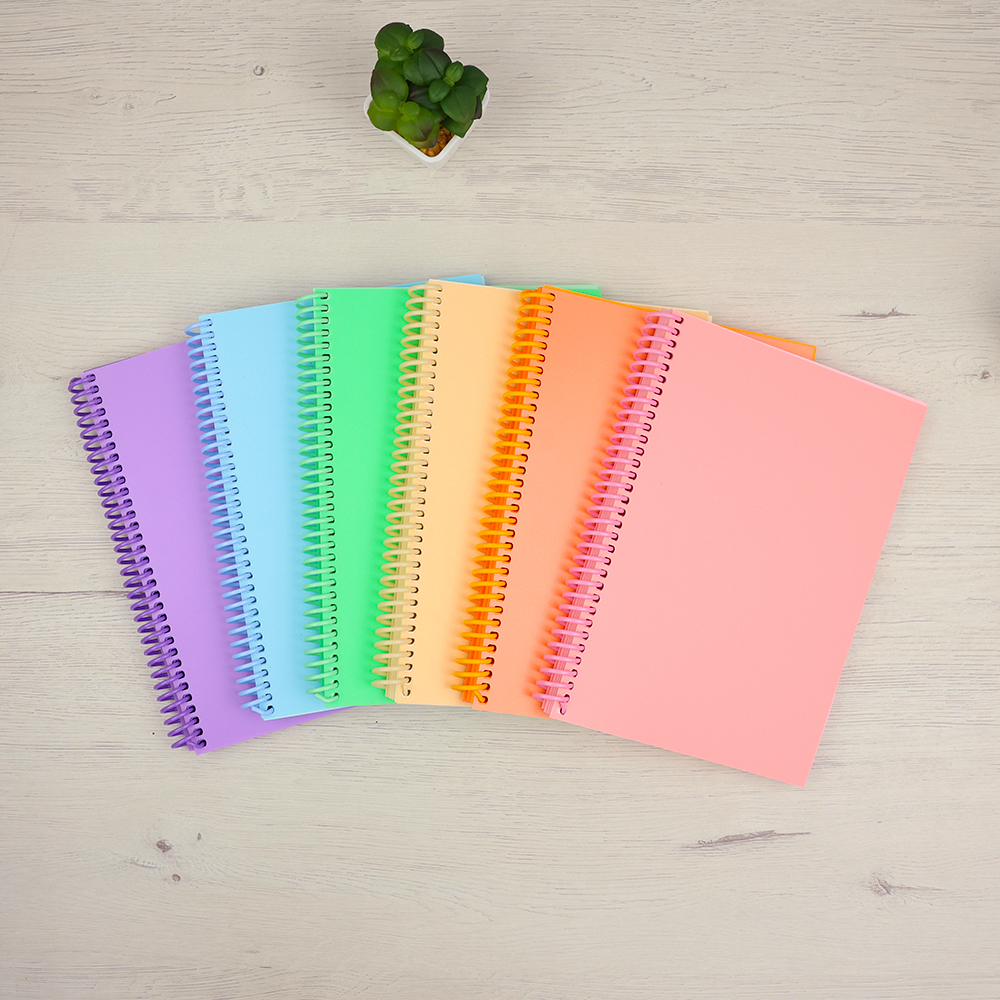 Pack Rainbow