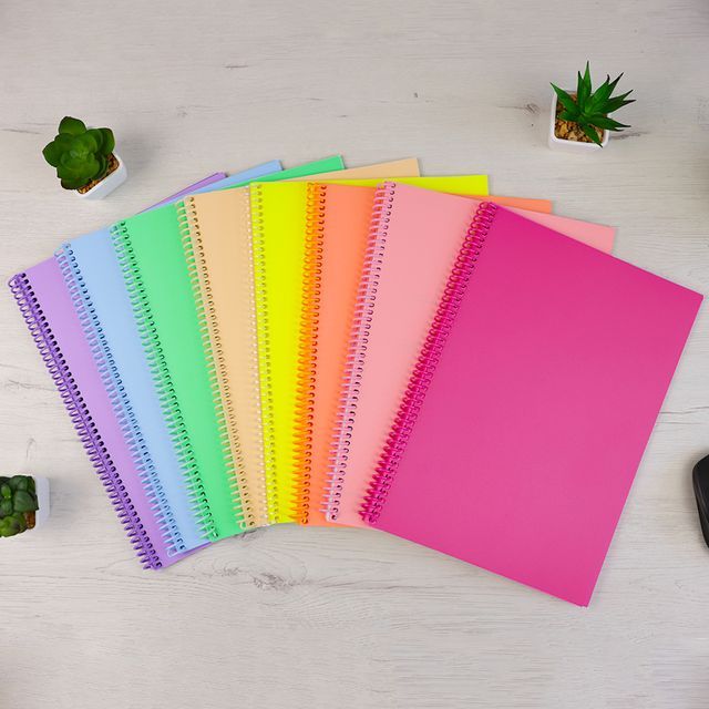 Color Notebooks A4