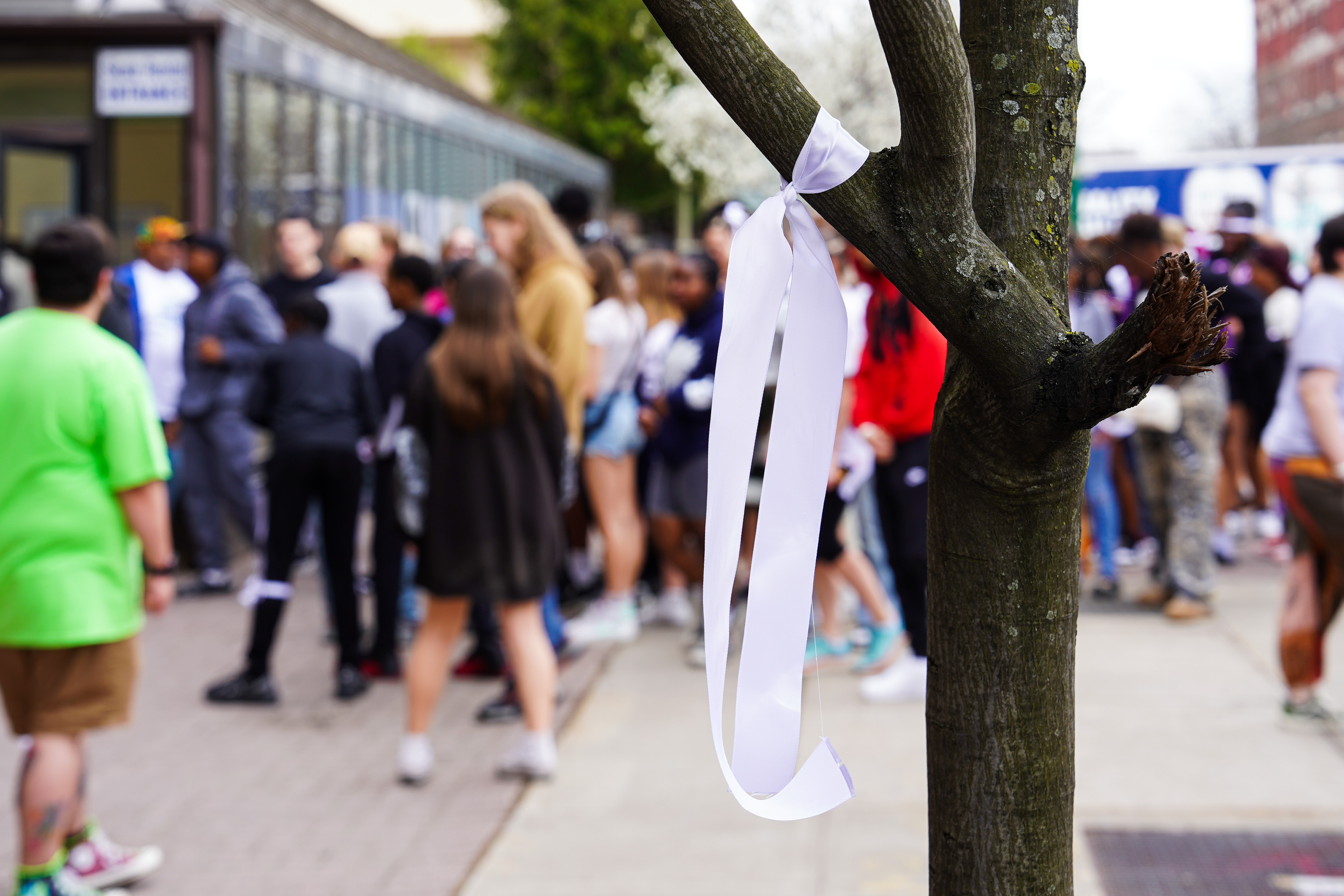Supporter pinning ribbon