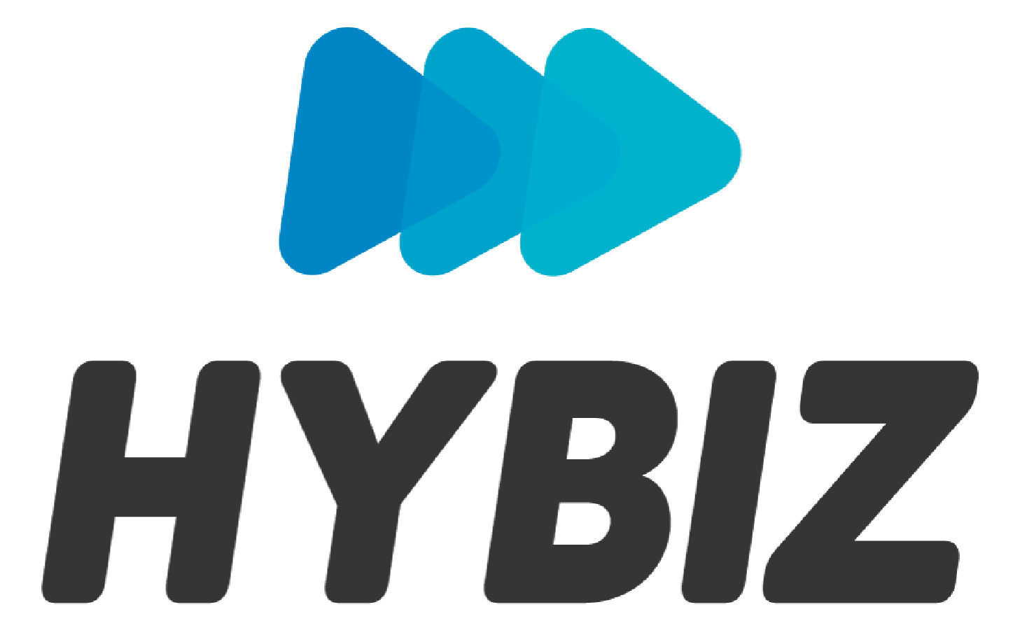 HYBIZ