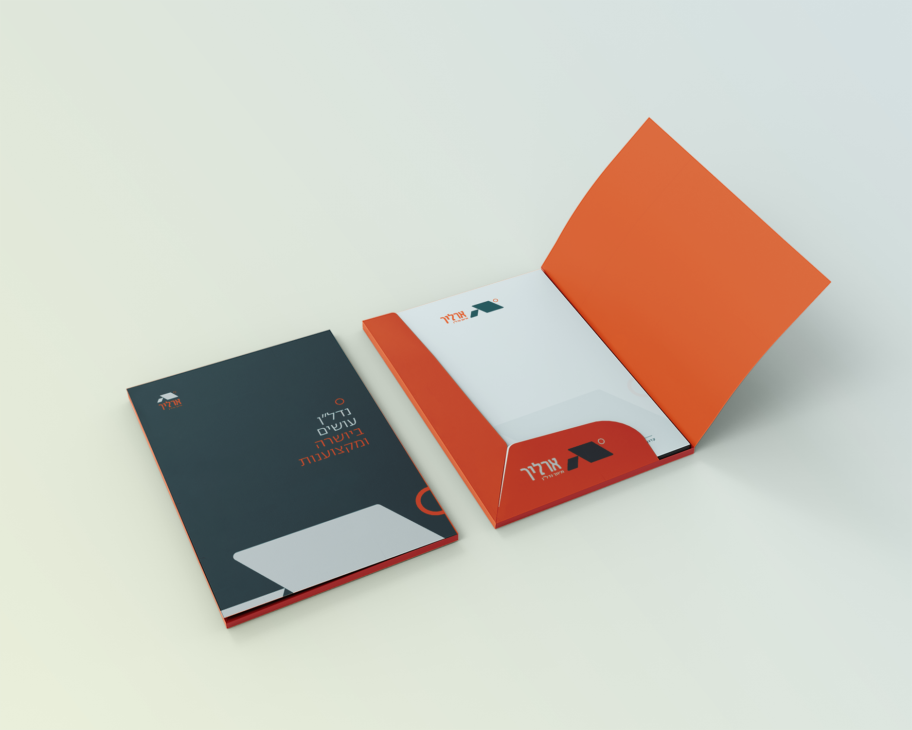Project visual