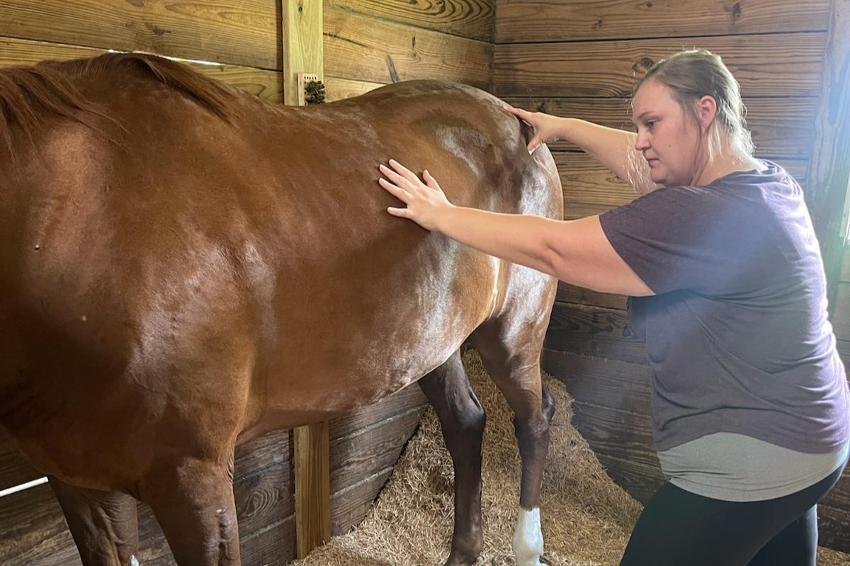Therapist working with a horse