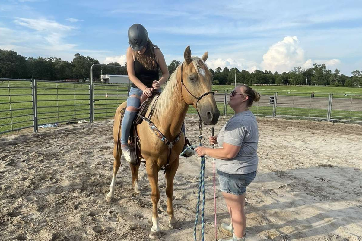 Rider-Horse Partnership Workshops